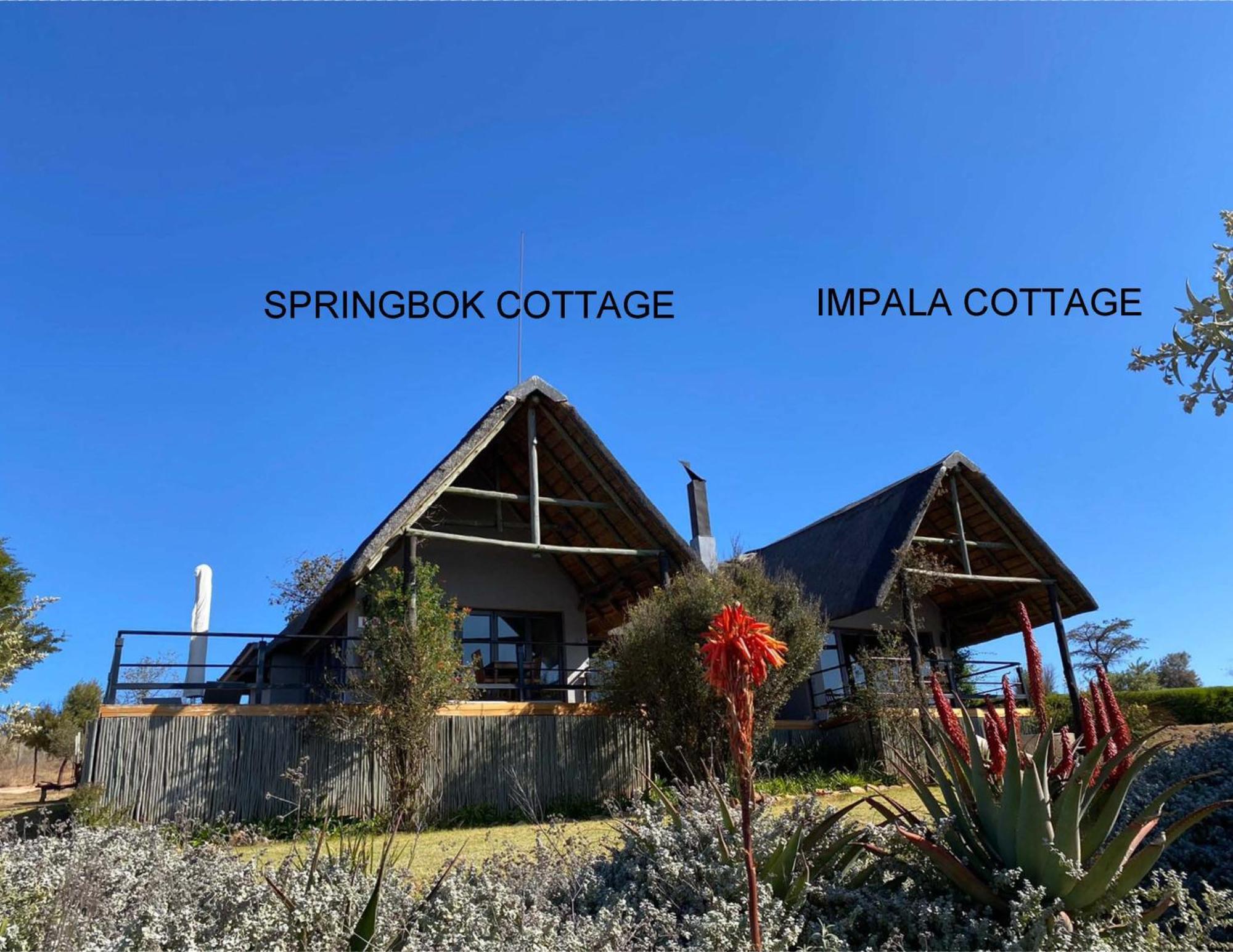Sibani Lodge Krugersdorp Exteriör bild